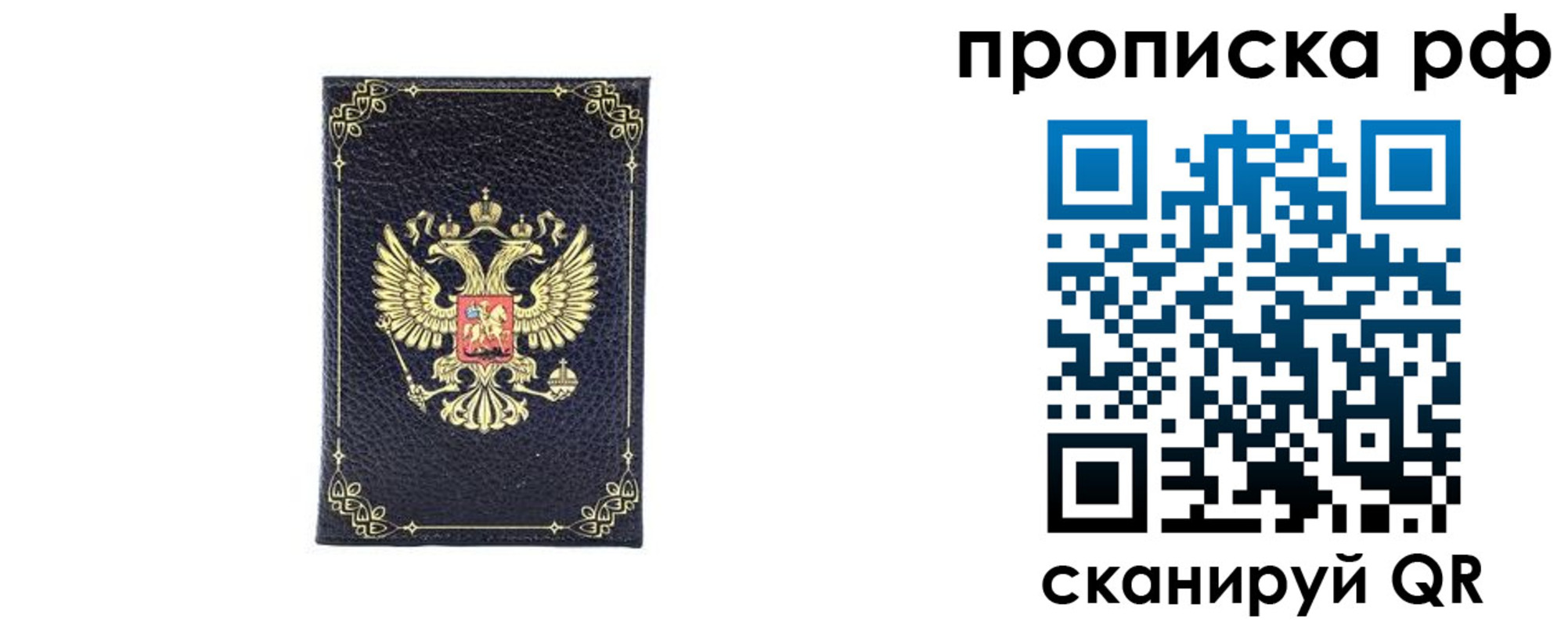 прописка для школы в Кургане